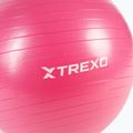 TREXO Gymball TXO-B4Z007-PK 55 cm rosa 5