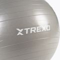 TREXO Gymball TXO-B4Z007-GY 55 cm grigio 6