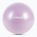 Palla da ginnastica XTREXO TXO-B4Z008-VT 65 cm viola