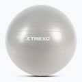 XTREXO Gymball TXO-B4Z008-GY 65 cm grigio