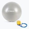 TREXO Gymball TXO-B4Z008-GY 65 cm grigio 4