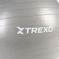 TREXO Gymball TXO-B4Z008-GY 65 cm grigio 5