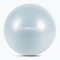 TREXO Gymball TXO-B4Z008-BL 65 cm blu