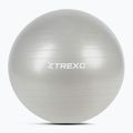 XTREXO Gymball TXO-B4Z009-GY 75 cm grigio