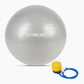 TREXO Gymball TXO-B4Z009-GY 75 cm grigio 5