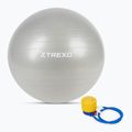 XTREXO Gymball TXO-B4Z009-GY 75 cm grigio 7