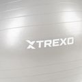 TREXO Gymball TXO-B4Z009-GY 75 cm grigio 6