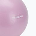 TREXO mini palla da ginnastica TXO-B4Z011-VT 25 cm viola 2