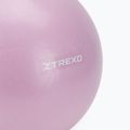 XTREXO mini palla da ginnastica TXO-B4Z011-VT 25 cm viola 3