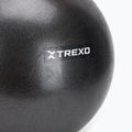 TREXO mini palla da ginnastica TXO-B4Z011-BK 25 cm nero 2