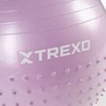XTREXO TXO-B4Z020-VT 55 cm palla da ginnastica massaggiante viola 6