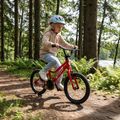 Bicicletta per bambini ATTABO EASE 16" rosso 3