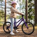 Bicicletta per bambini ATTABO EASE 20" viola 6