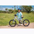 Bicicletta per bambini ATTABO EASE 16" B argento 3