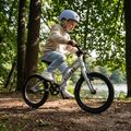 Bicicletta per bambini ATTABO EASE 16" B argento 5