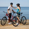 Mountain bike donna ATTABO ALPE 1.0 17" bianco 6