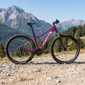 Mountain bike da donna ATTABO ALPE 3.0 17" viola 3