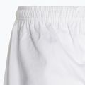 TREXO Kyokushin karategi bianco 17