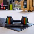 Manubrio regolabile XTREXO 11,5 kg multicolore 12