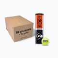 Palline da tennis Dunlop Fort Clay Court 4B 18 x 4 pezzi giallo 601318