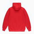PROSTO Toogit Felpa con cappuccio da uomo rosso 5