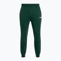 PROSTO pantaloni da uomo Digo verde