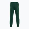 PROSTO pantaloni da uomo Digo verde 2