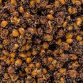 Carpa Target grain mix CT-62051 Mais-Tiger Walnut-Congo-Rubber 25% + Secchio 17 l 3