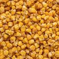 Carpa Target ananas mais da pesca + secchio da 10 l 5