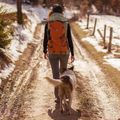 Zaino da trekking Alpinus Teno 24 l orange 3
