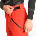 Pantaloni da sci da uomo 4F 3