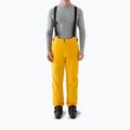 Pantaloni da sci uomo 4F Fnk M1086 yellow
