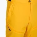 Pantaloni da sci uomo 4F Fnk M1086 yellow 7