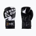 Guantoni da boxe StormCloud Bolt 3.0 black/white