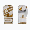 Guantoni da boxe StormCloud Bolt 3.0 white/gold