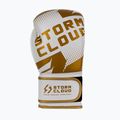 Guantoni da boxe StormCloud Bolt 3.0 white/gold 4