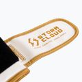 Guantoni da boxe StormCloud Bolt 3.0 white/gold 9