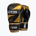 Guantoni da boxe StormCloud Lynx 2.0 black/gold 2