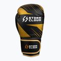 Guantoni da boxe StormCloud Lynx 2.0 black/gold 4