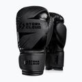Guantoni da boxe StormCloud Lynx 2.0 black/black 2