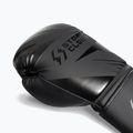 Guantoni da boxe StormCloud Lynx 2.0 black/black 6