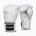 Guantoni da boxe StormCloud Muay Thai Blizzard 2.0 white/silver