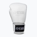 Guantoni da boxe StormCloud Muay Thai Blizzard 2.0 white/silver 2