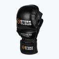 Guantoni da allenamento StormCloud Hurricane 3.0 black/white 2