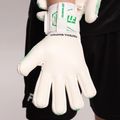 Guanti da portiere Football Masters Varis X NC bianco/verde 7