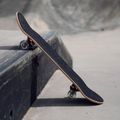 Skateboard classico Mechanics Spider 31 blu 9