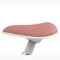 Bicicletta senza pedali Milly Mally Skippy pink 11