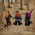 Zaino da trekking Alpinus Tarfala 35 l mustard 4