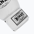 WINDY Guantoni da boxe classici in pelle sintetica bianchi 6