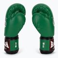 Guantoni da boxe RAJA BOXING Single Semi Leather green 4
